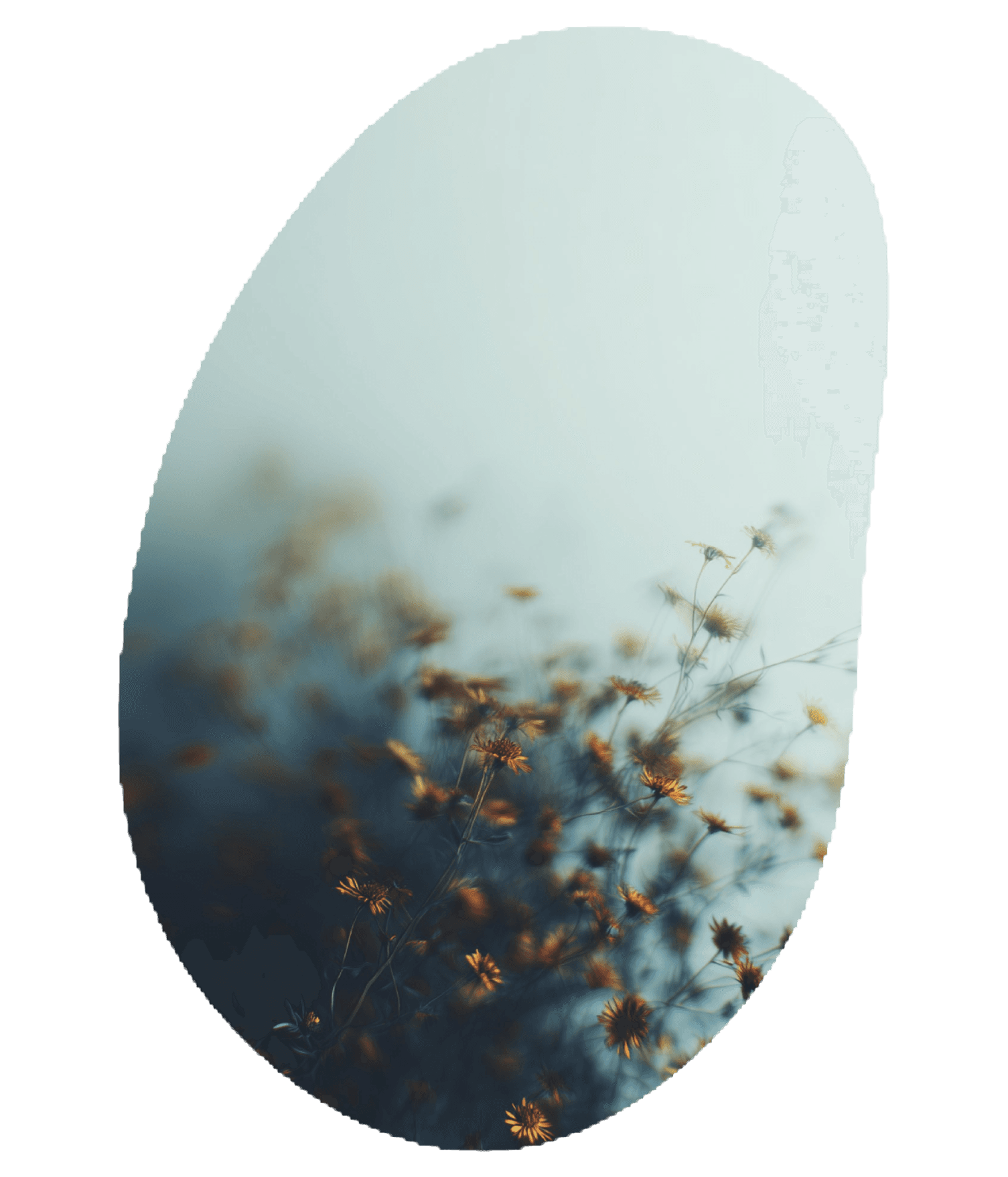 The Gentle Art of Slowing Down