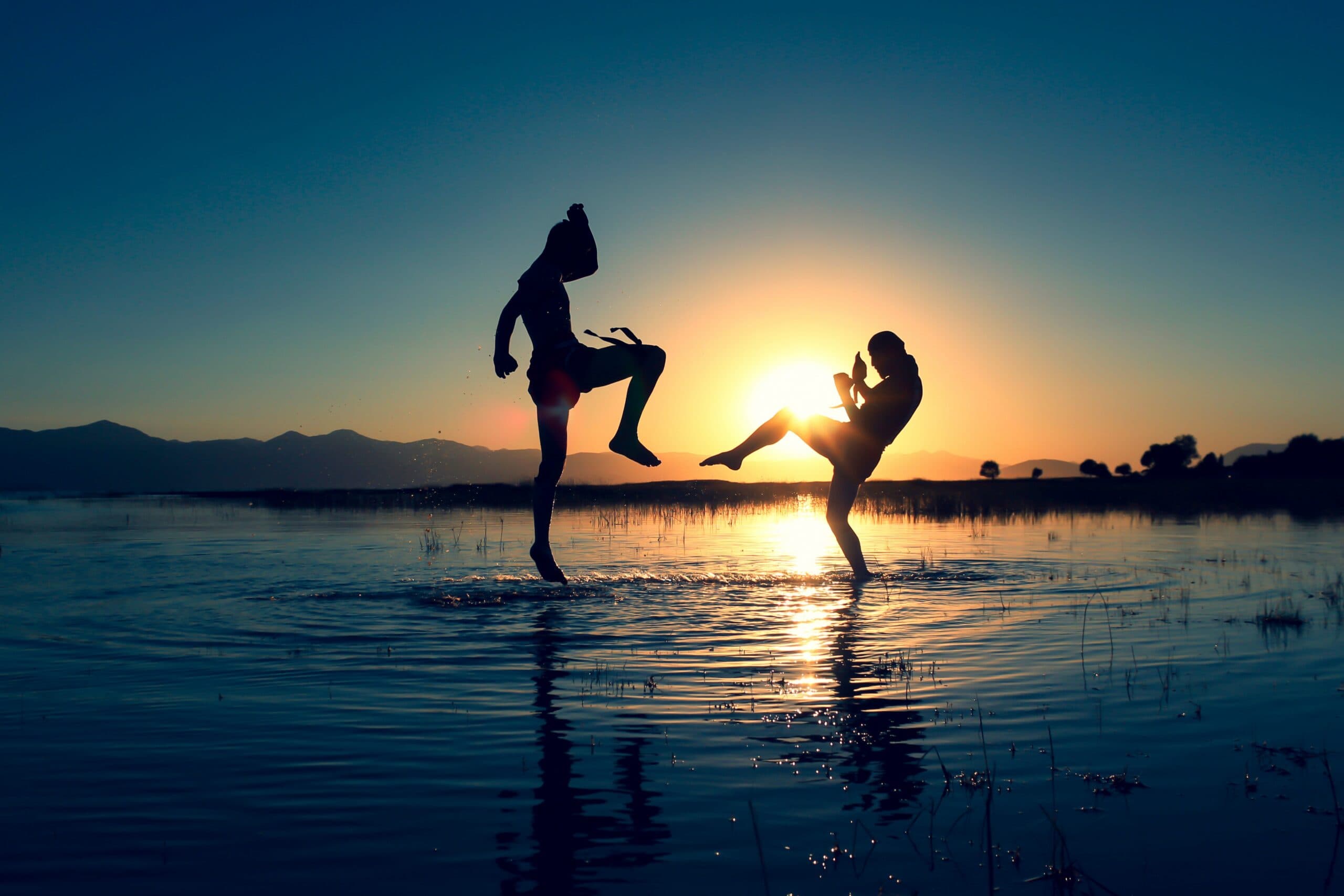 Executive Polarity Coaching