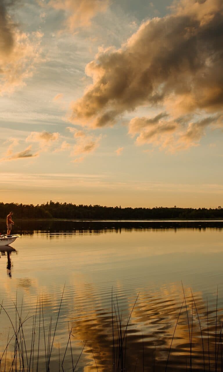 Why Leaders Need a Different Kind of Coaching