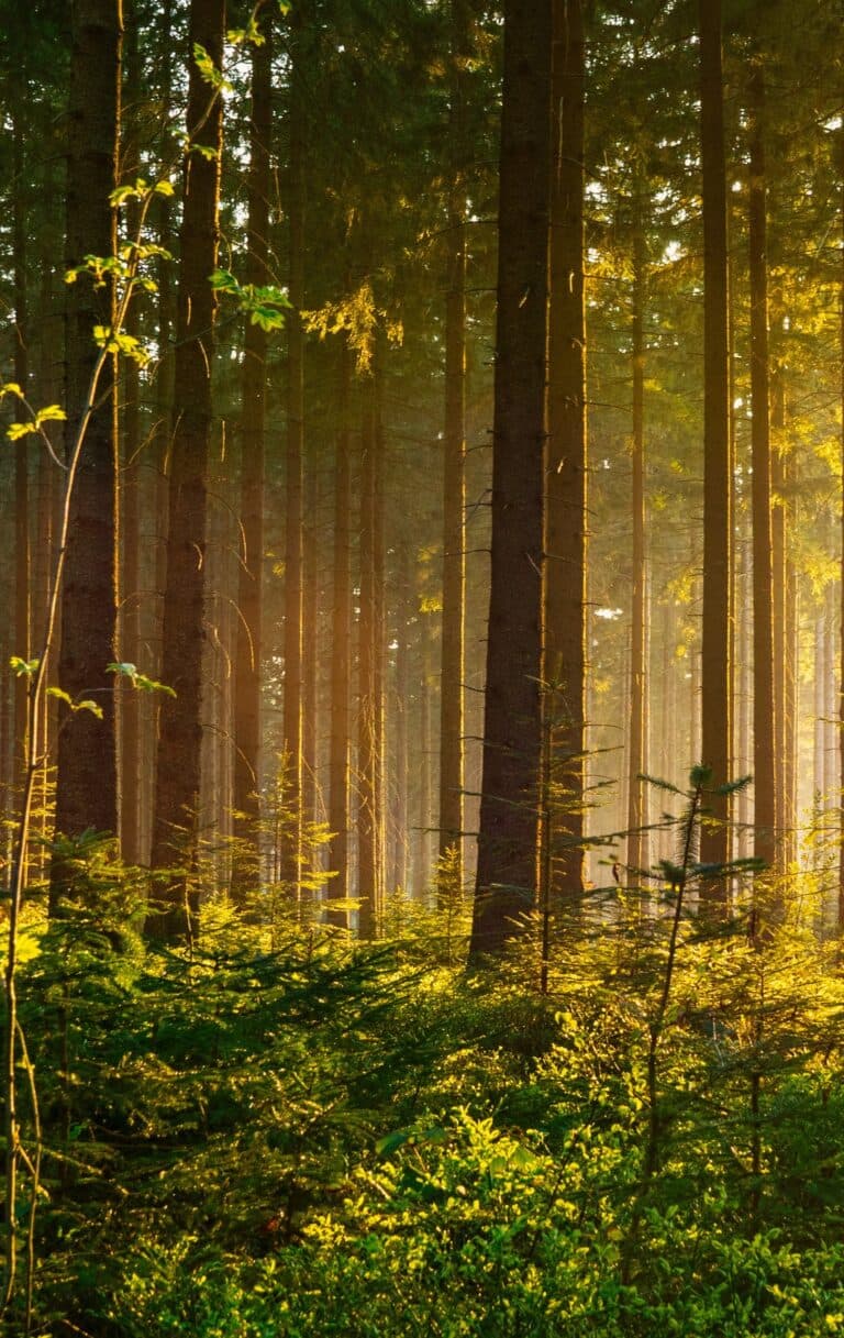 Real Change Happens in Real Relationships