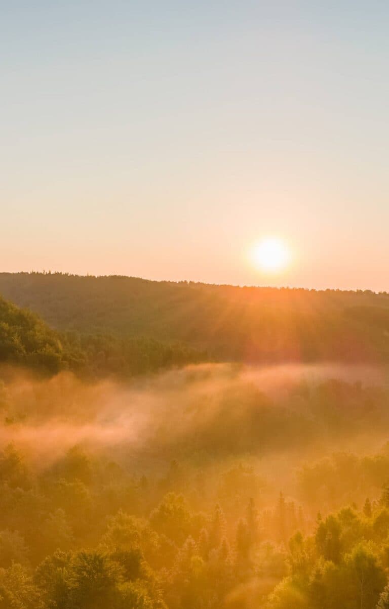 How Leadership Coaching Works at WoB